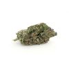 GGC Marijuana Strain from BluePlueYellow