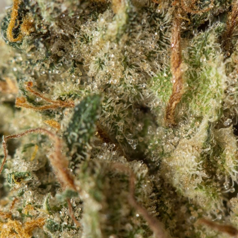 Kandy Kush Online Dispensary Canada