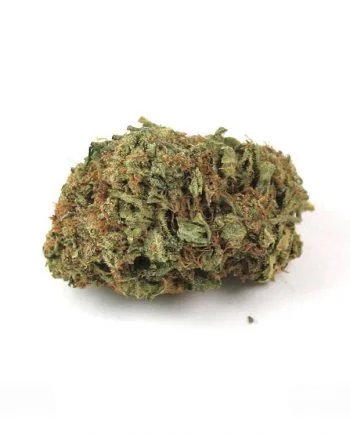 Purple Kush Marijuana