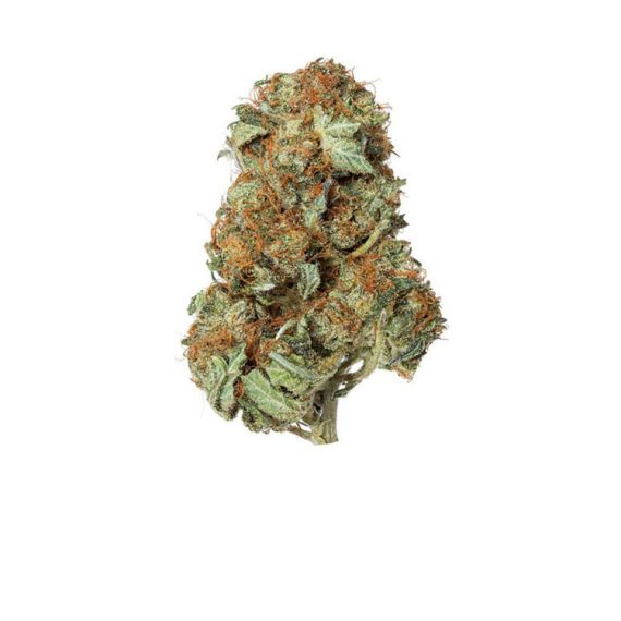 mk ultra marijuana strain from Online Dispensary Canada