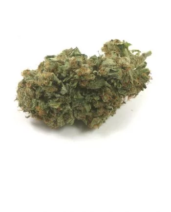 mango-haze-marijuana-strain