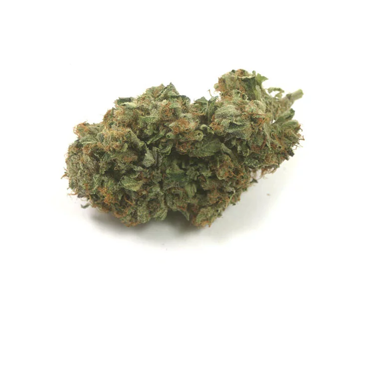 mango-haze-marijuana-strain