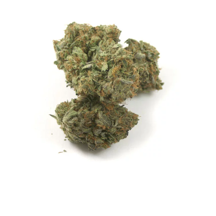 mango-haze-marijuana-strain