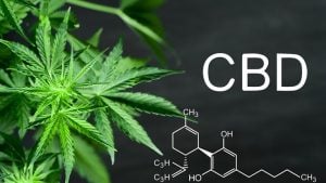 CBD Oil Canada