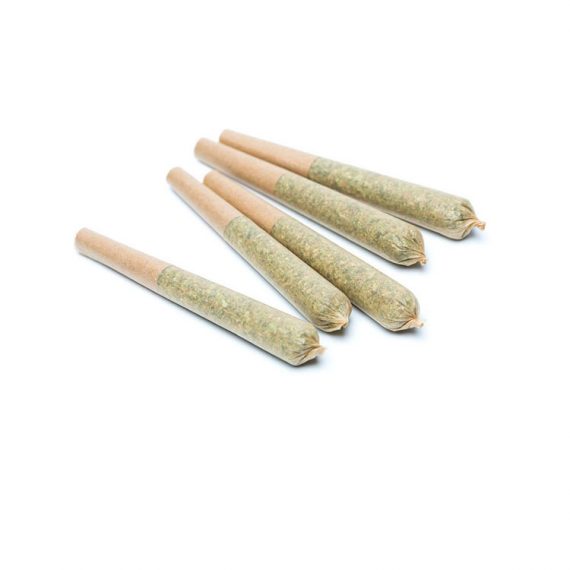 Scout Cannabis Pre-Rolled Joints