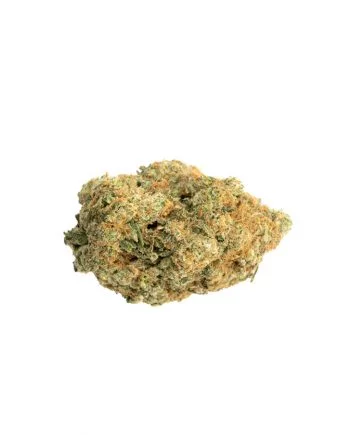 Chocolope-Weed-Canada-ODC