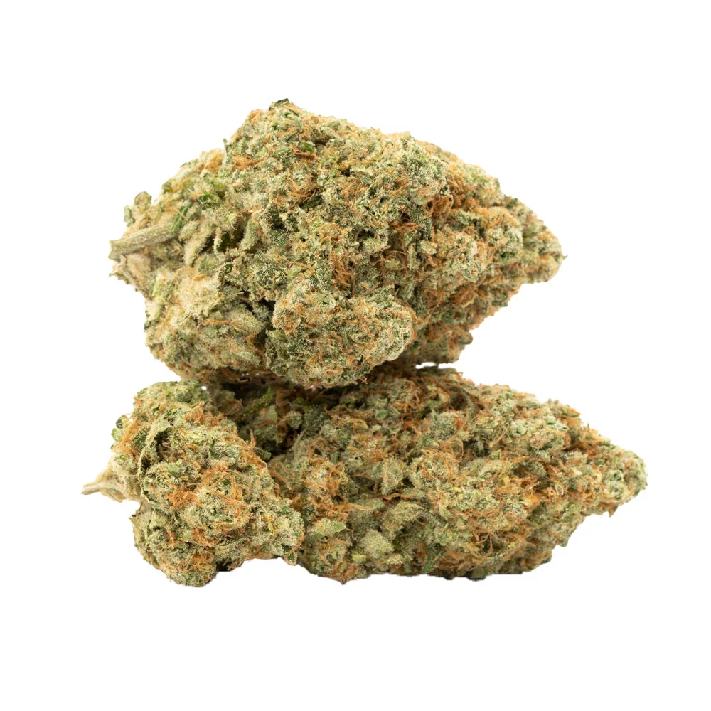 chocolopee Chocolope Weed Canada
