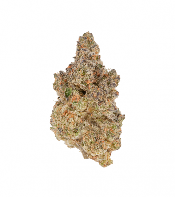 Girl Scout Cookies Strain Canada
