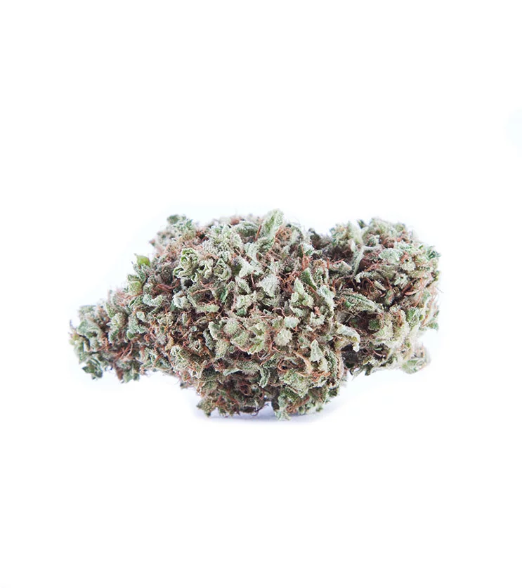 Lambs-Bread-2 Lambs Bread - Buy Lambs Bread Online Canada