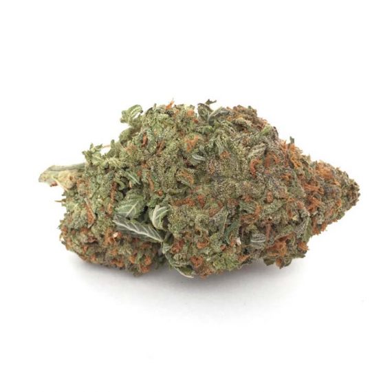 Pine-Tar Kush Marijuana Strain from BluePlueYellow
