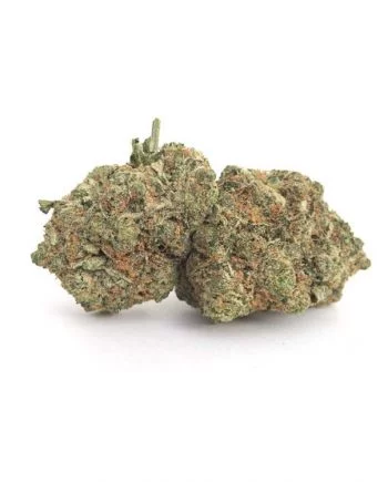 Sunset Sherbert Marijuana Strain from BluePlueYellow