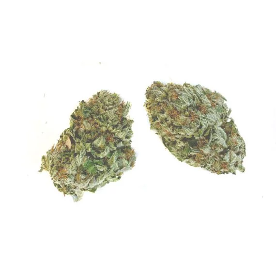 Green Crack - Sativa