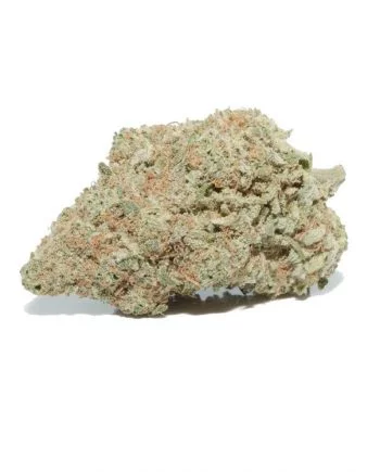 Jamaican Haze Cannabis Strain