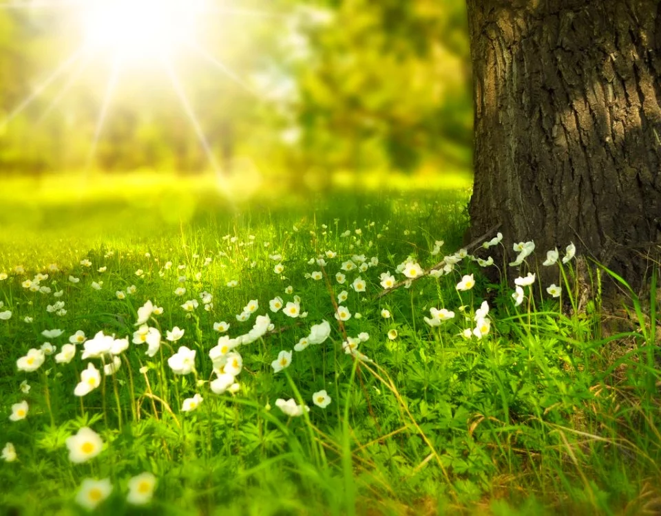 nature benefits of cbd