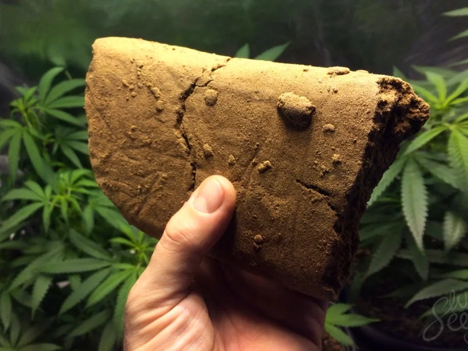 How to Make Hash