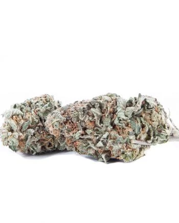 Gelato-Hybrid
