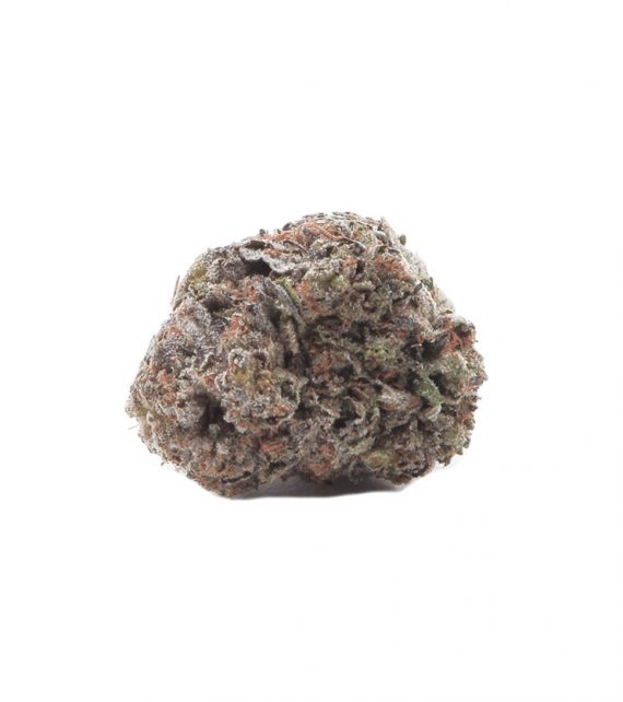 Purple Haze Cannabis