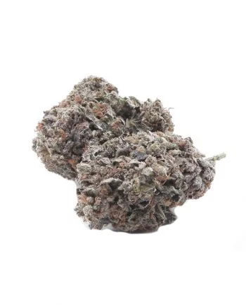 Purple Haze Strain - Hybrid