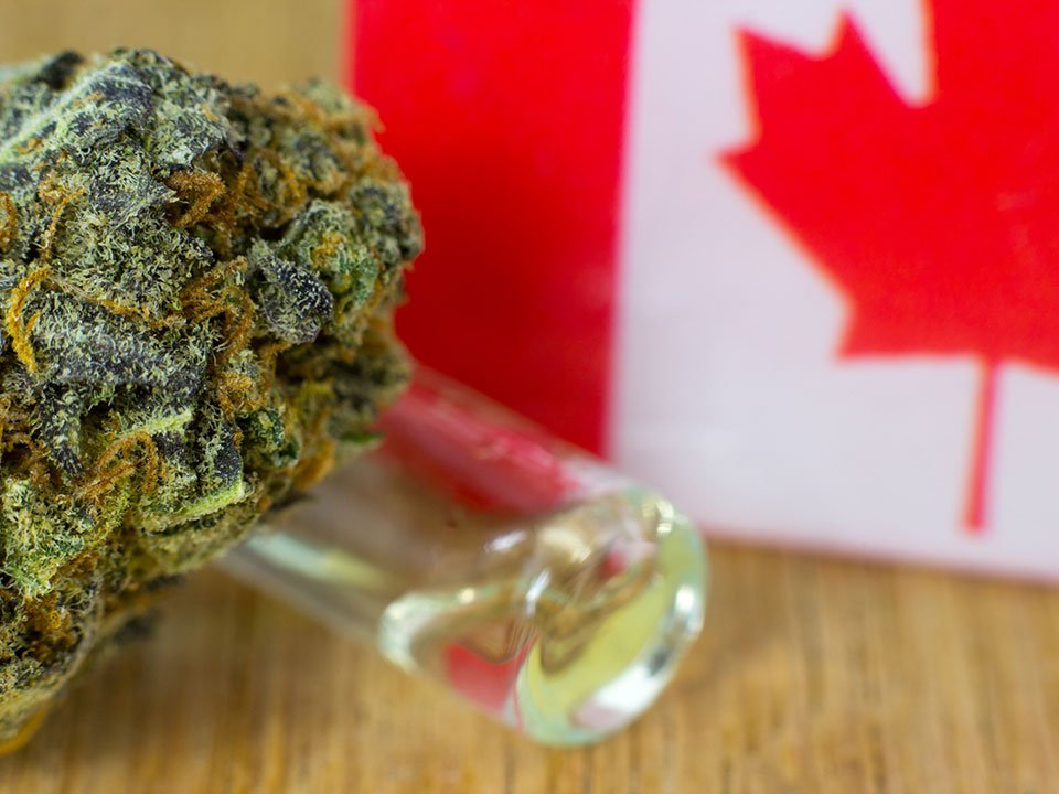 marijuana and canadian flag
