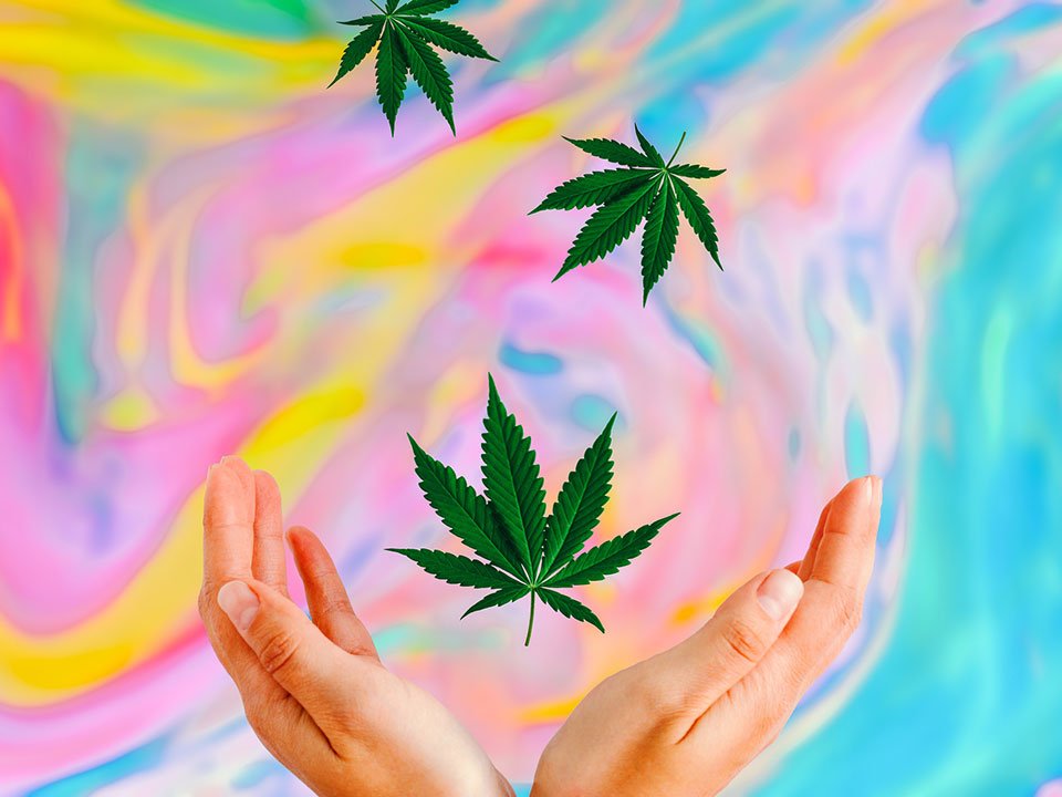 Floating weed leaves and hands on psychedelic background