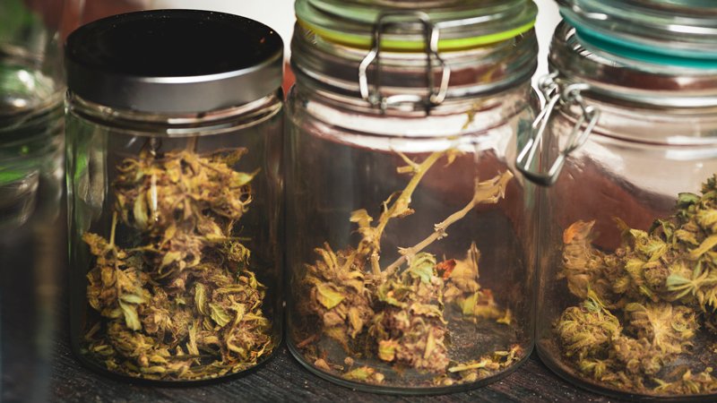 Cannabis Buds Jars on table.