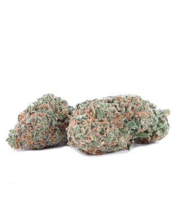 Pineapple-Express-Strain-With-Online-Dispensary-Canada.ca