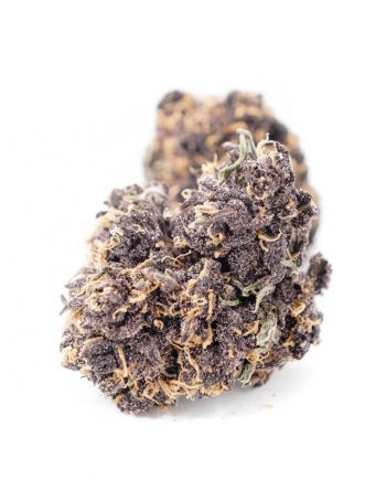 Huckleberry Purple Strain Canada