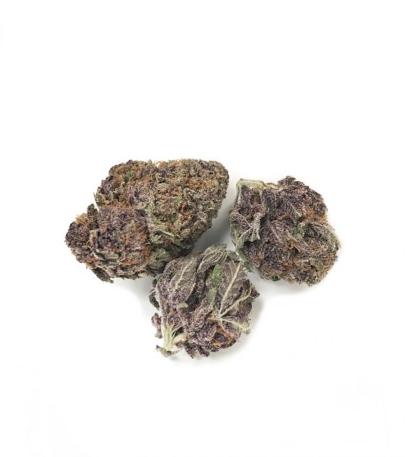 Huckleberry-Purple-Strain-Online-Dispensary-Canada
