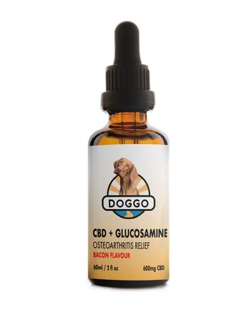CBD Oil for Dogs Canada